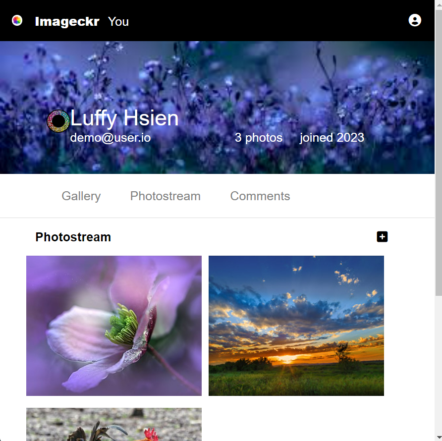 imageckr project